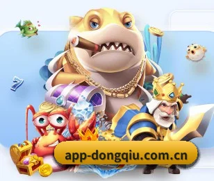 懂球体育 APP
